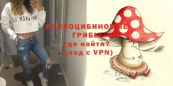 мяу мяу мука Аркадак