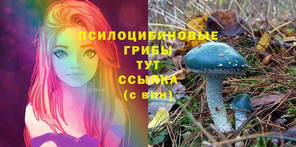 соль курить ск Арсеньев