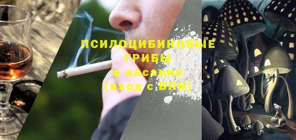 мяу мяу мука Аркадак